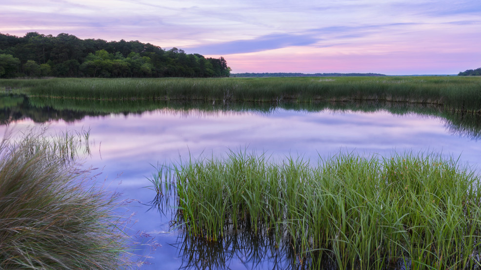 Colleton County settles lawsuit, creating exclusion zone for data ...