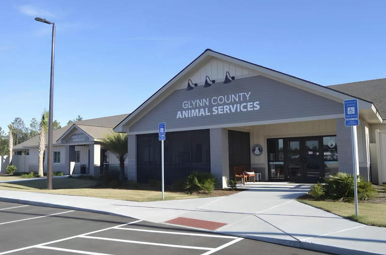 Glynn County adopts updated animal control ordinance
