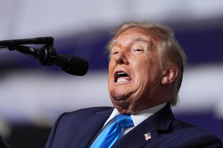Trump uses 'disgusting' slur against Darline Graham's rival in unhinged ...
