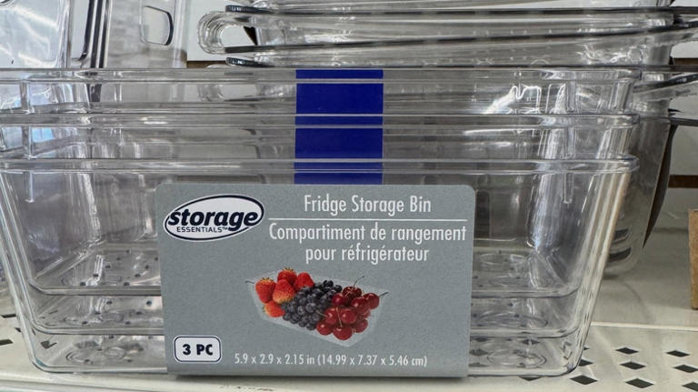 8 best new Dollar Tree storage finds under $2
