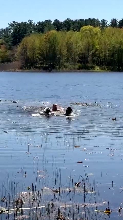 Woman rescues dog struggling to swim at Minnesota park