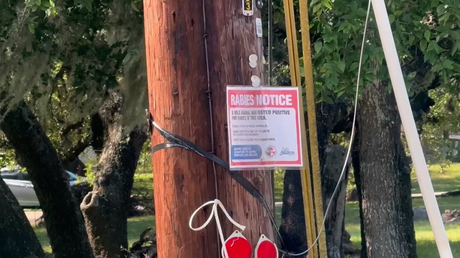 San Marcos community on edge after multiple fox attacks, confirmed ...