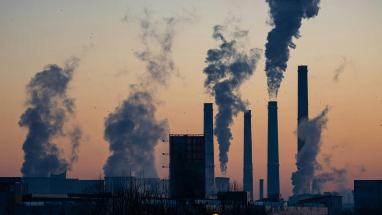 Maharashtra's 10-MW waste-to-energy plant shut after protests over ...