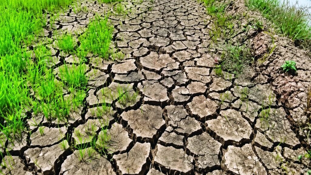 El Niño: 106 areas placed under state of calamity, 388K people affected