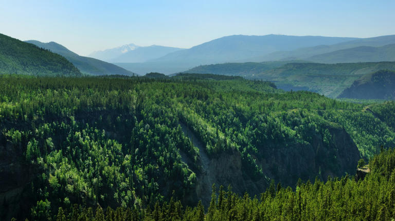 The 'Grand Canyon of the North' is a majestic Canadian chasm with ...