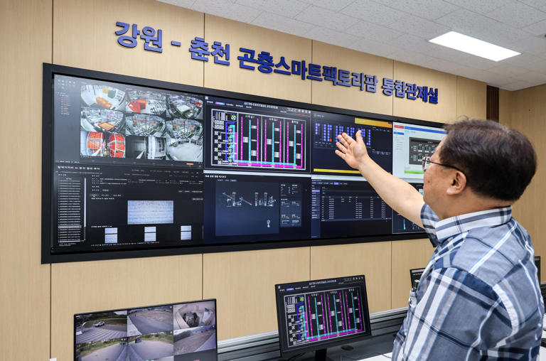 AI manages mealworm growth in millimeters at Gangwon farm