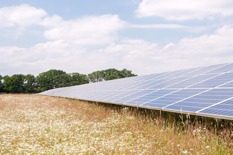 Fears 2.5km underground solar farm cable could disturb ancient Roman ...