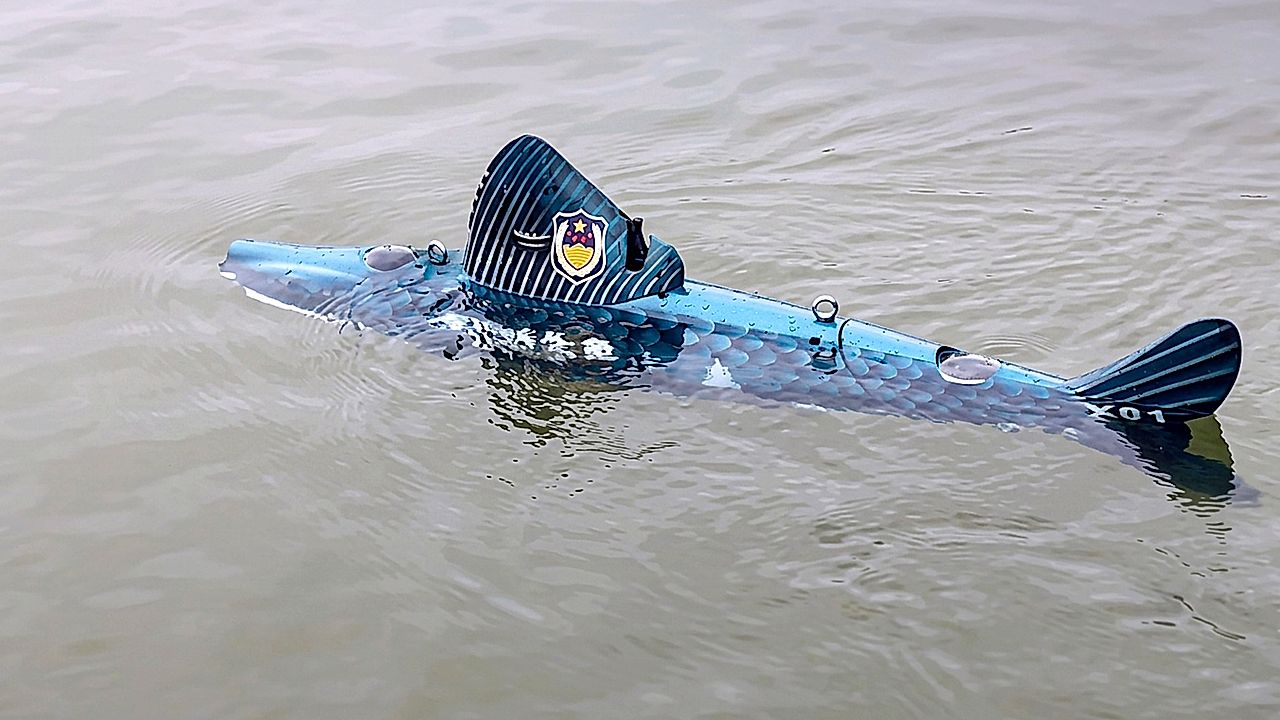 Chinese police deploy robotic fish to patrol lake