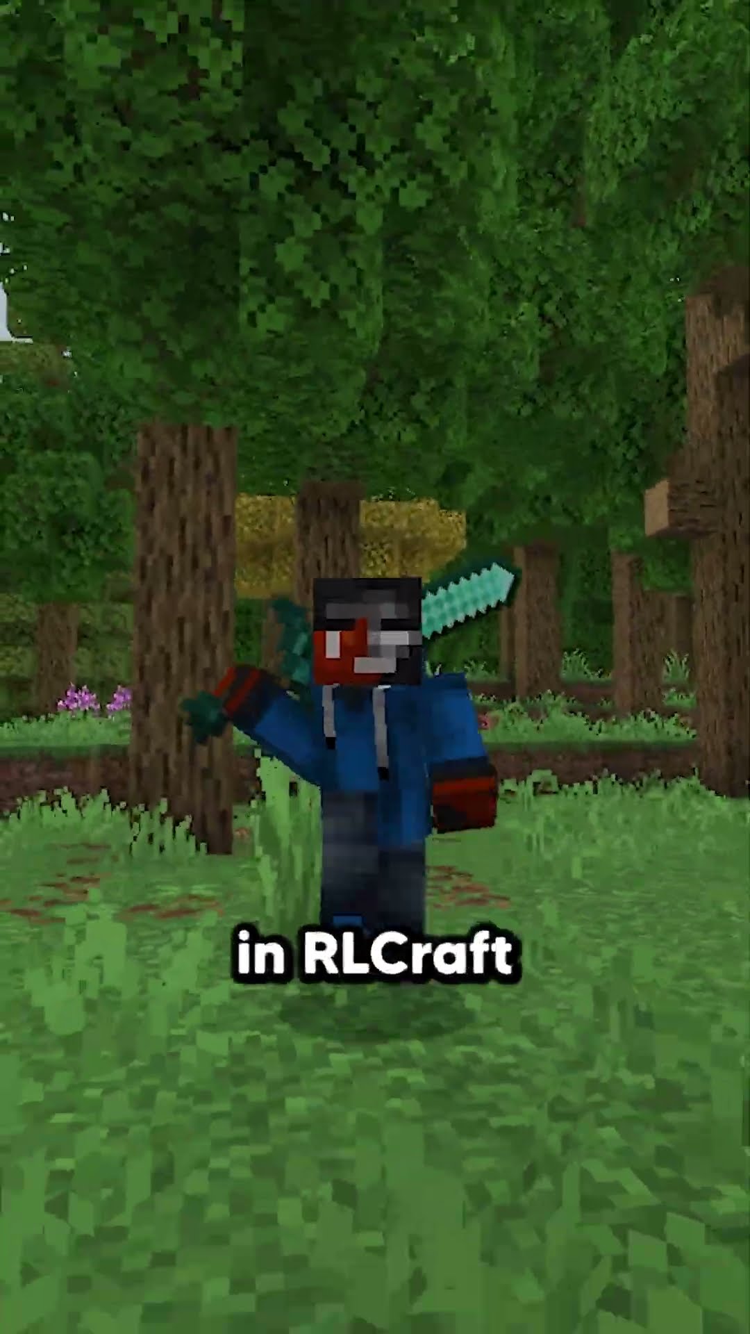 New Minecraft Bedrock combat?