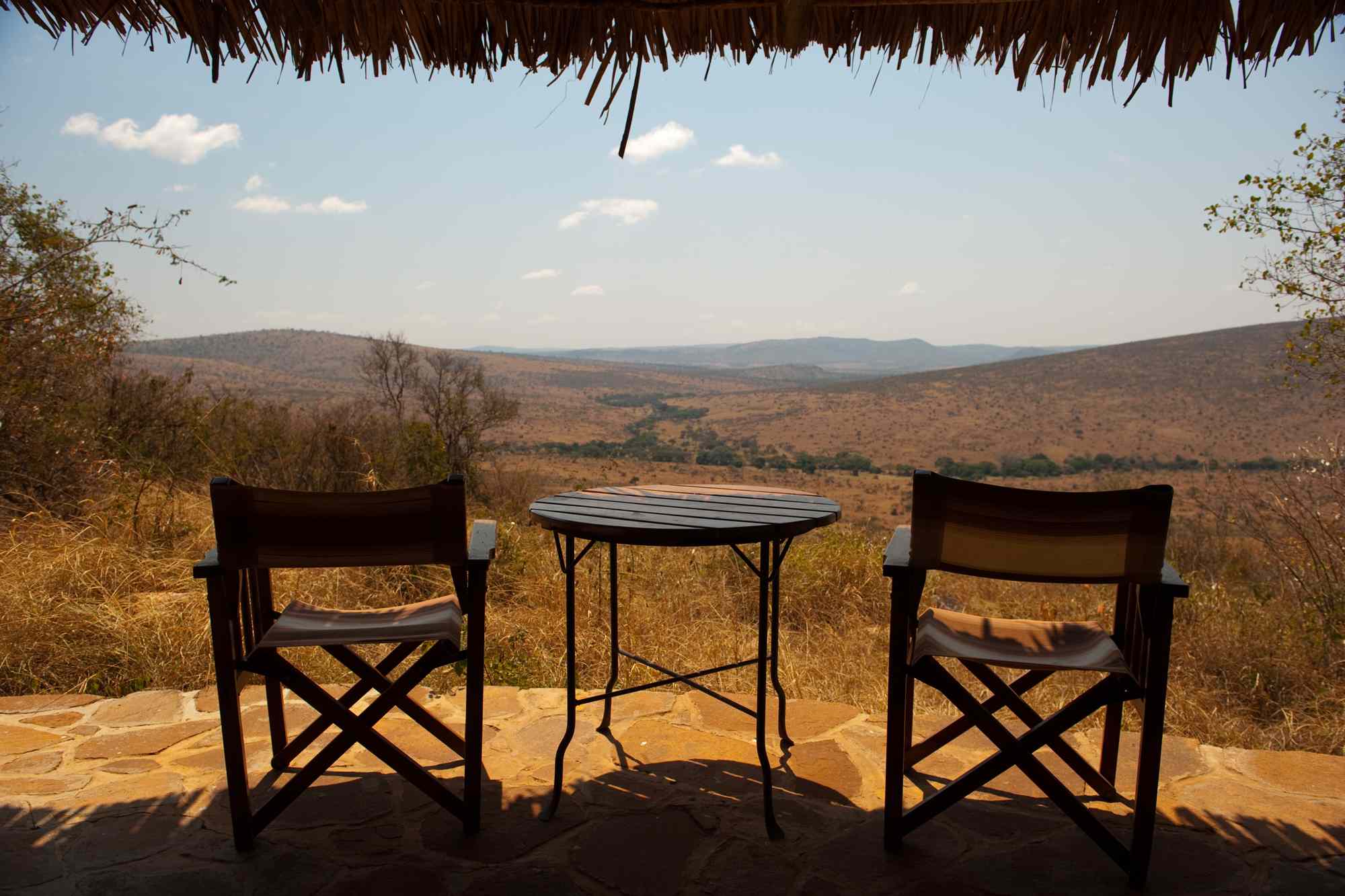I’ve planned safaris for more than 40 years—here are my 5 tips for ...