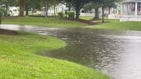 US: Heavy rain triggers flash flooding in Foley, Alabama