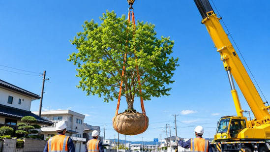 Japan has a surprising answer to ancient trees blocking construction ...