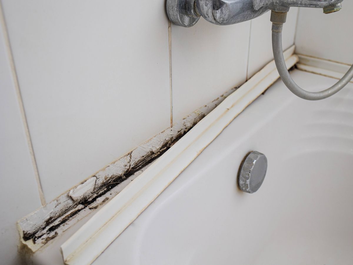 Remove mould and mildew from shower grout with cleaning expert's no ...