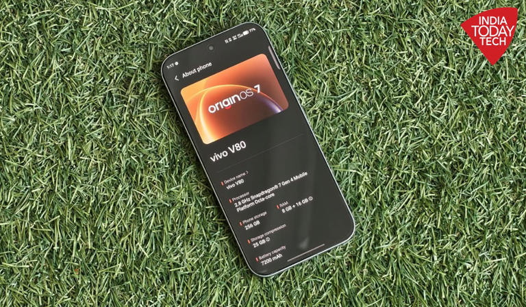 Vivo V80 review: A premium package with a price to match it