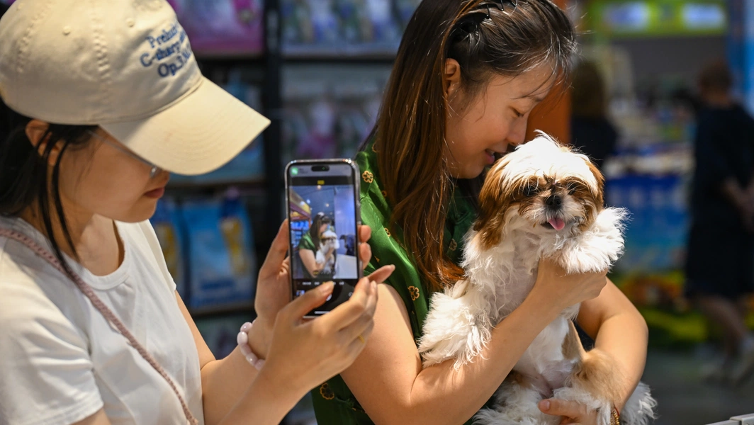 19 affectionate dog breeds with strong human bonds