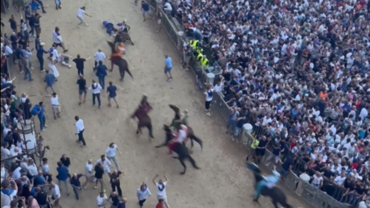 Siena horse race takes a distressing turn