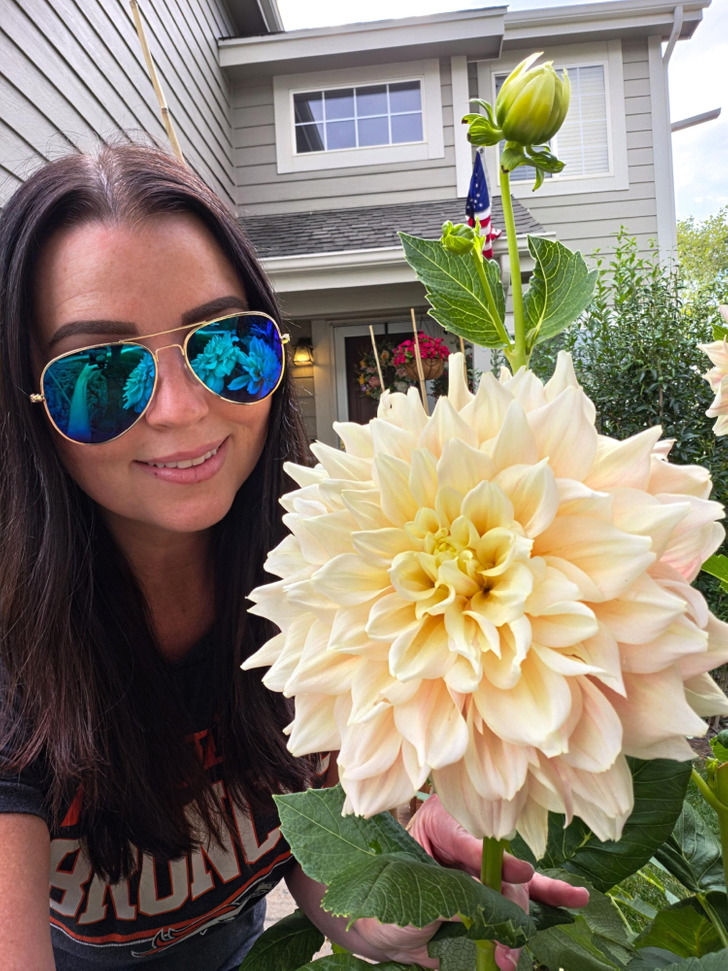 10 latest home gardening and landscaping habits set to guide you ...