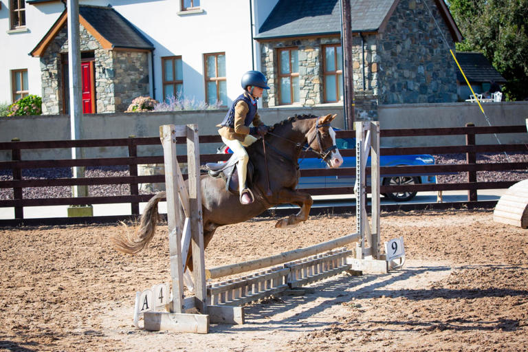 Horse Week: Championship glory for Rainey and Rooney in action-packed ...