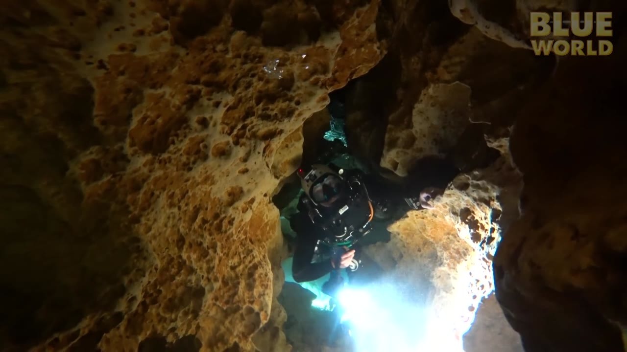 Divers entered Florida’s Rocky Horror Passage then found a tunnel ...