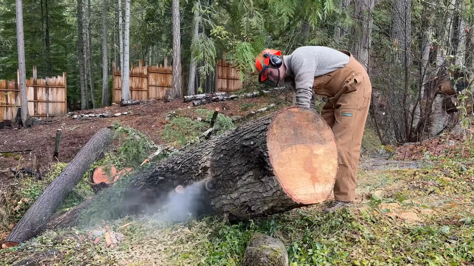 They had to move a fallen tree after a windstorm then realized the ...