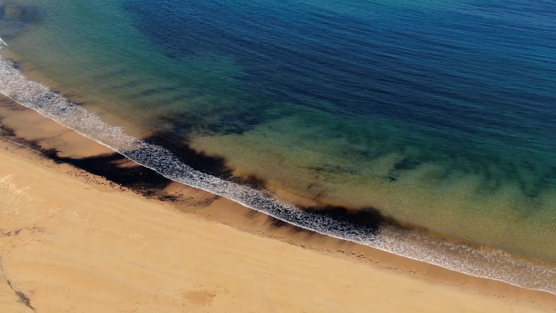 Drone footage reveals the impact of oil spill on marine life
