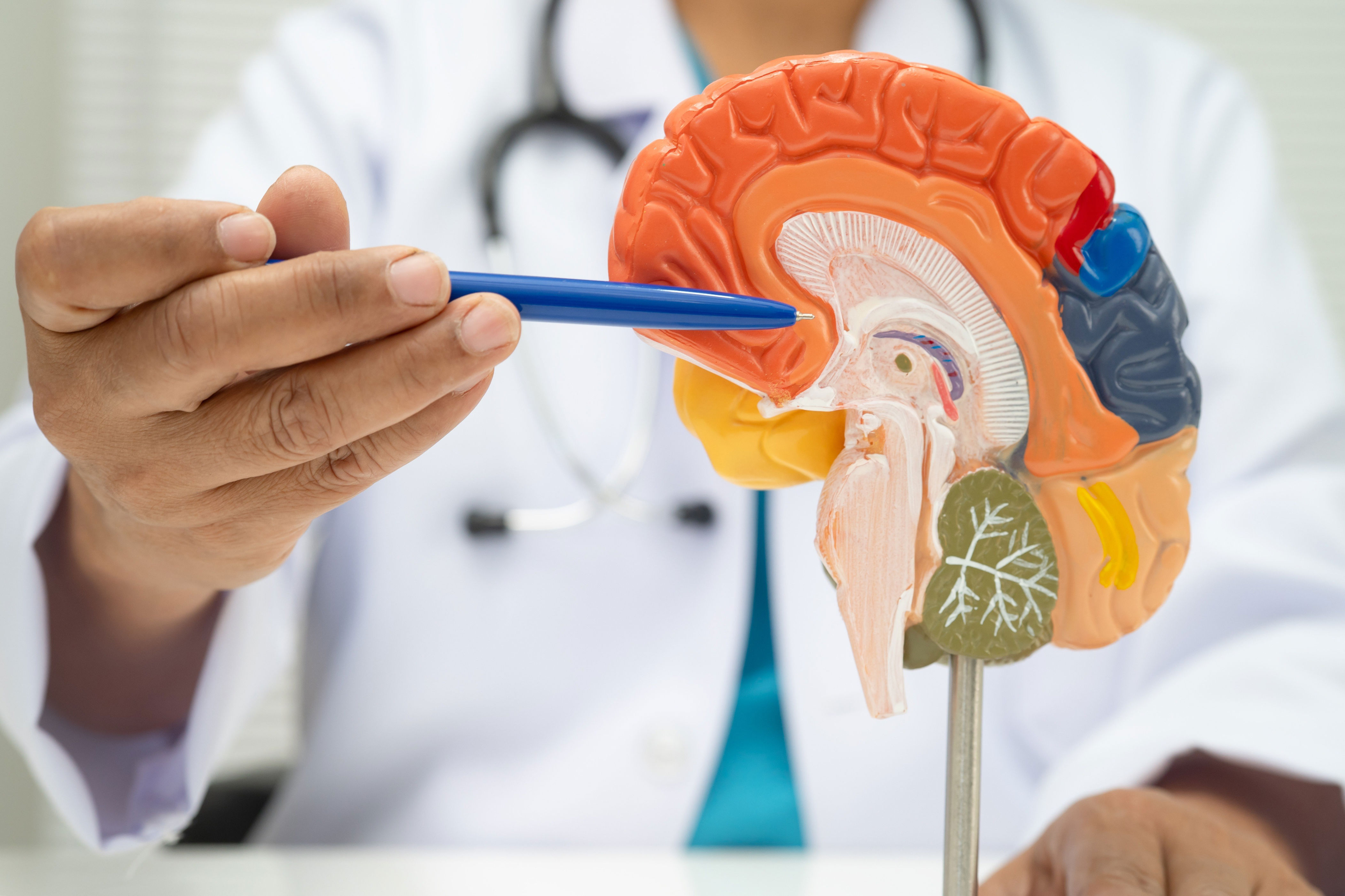 I’m a neurologist — 7 everyday habits that are quietly damaging your brain