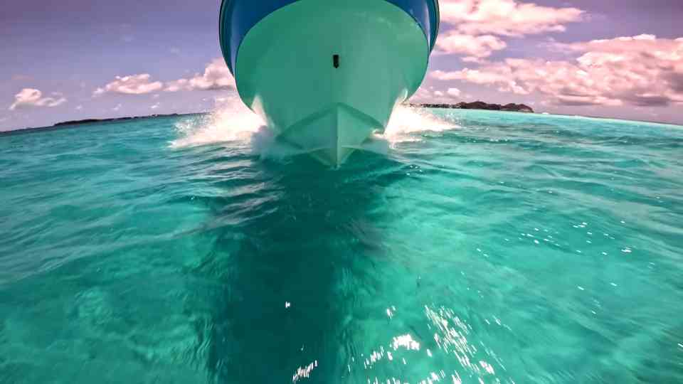 A 200-pound shark stole his tuna right beneath the boat - 