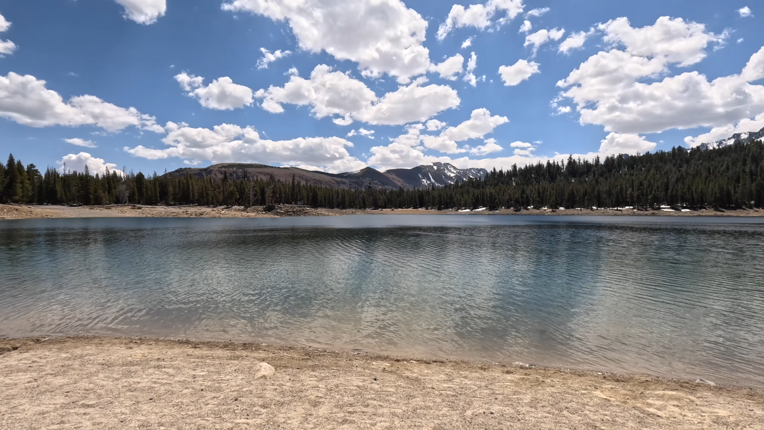 Volcanic gas started seeping beneath this California forest - then ...