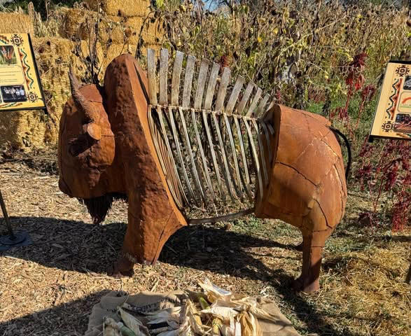 Stolen ‘Bison Resilience’ sculpture made by Native youth found, Pueblo ...
