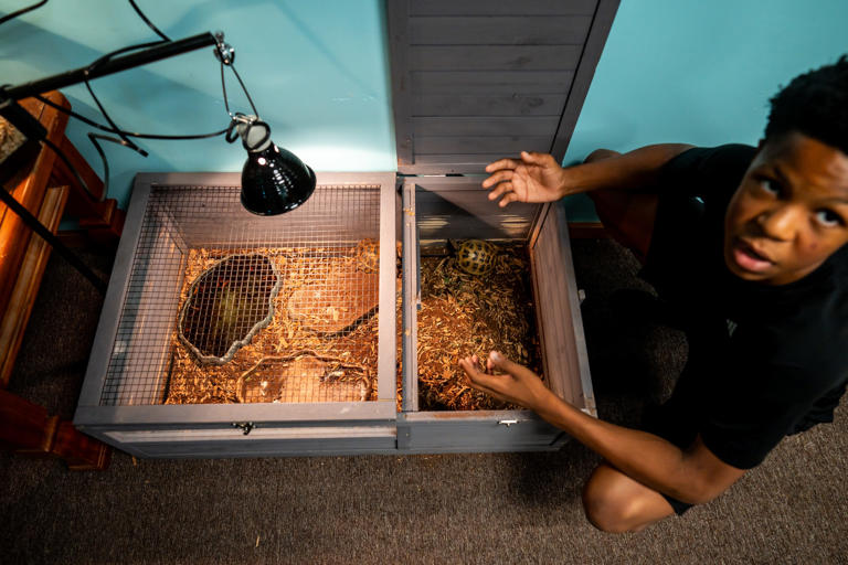 'The Professor' wows crowds with Akron animal business and he's only 14