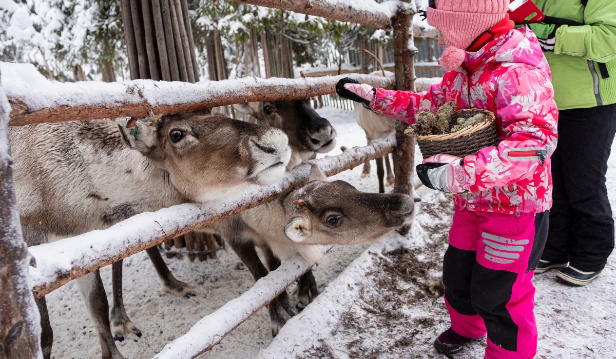 Irish mum warns parents not to take their kids to Lapland next month ...