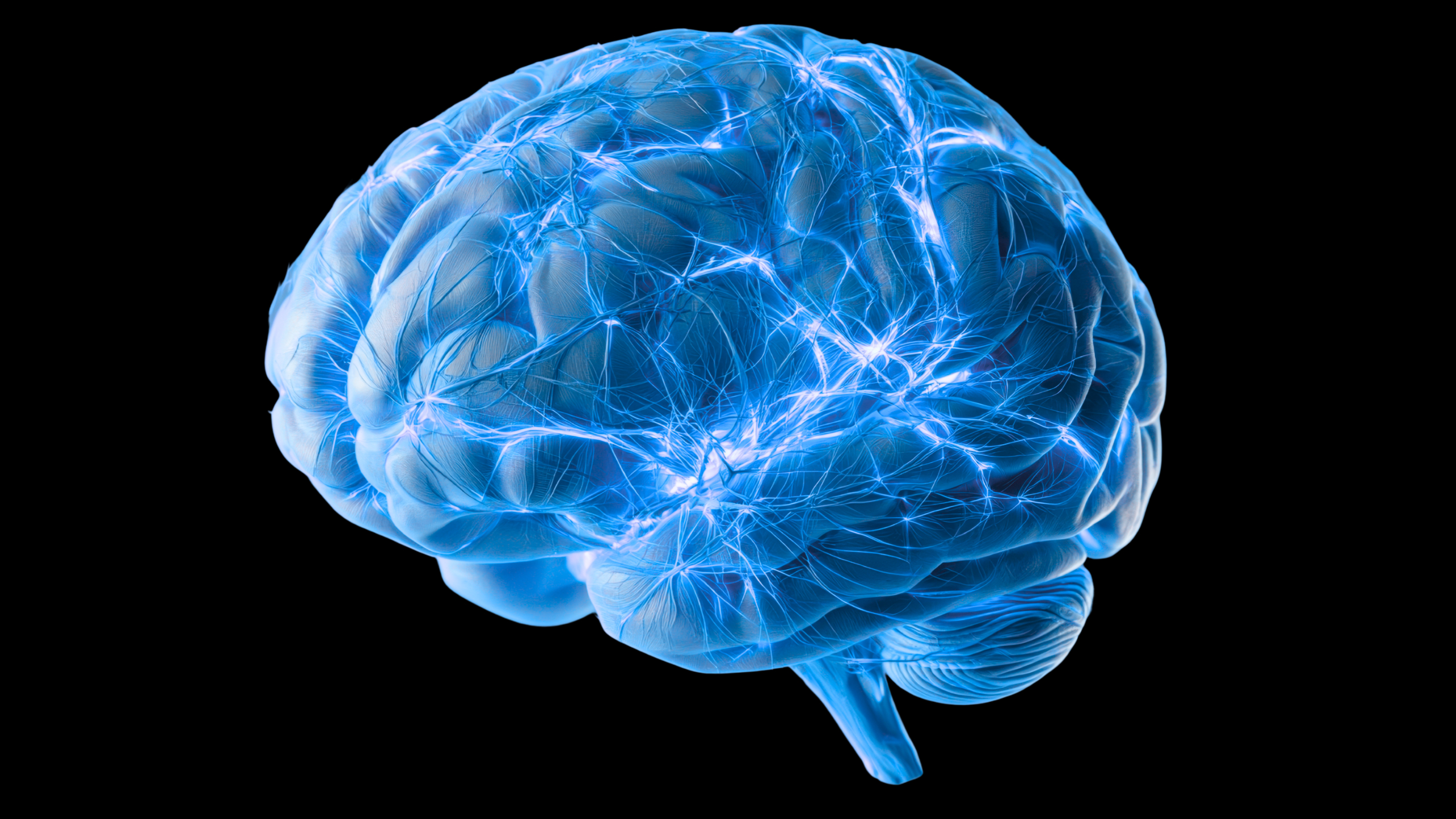 Scientists find a hidden network of tiny channels the brain may use to ...