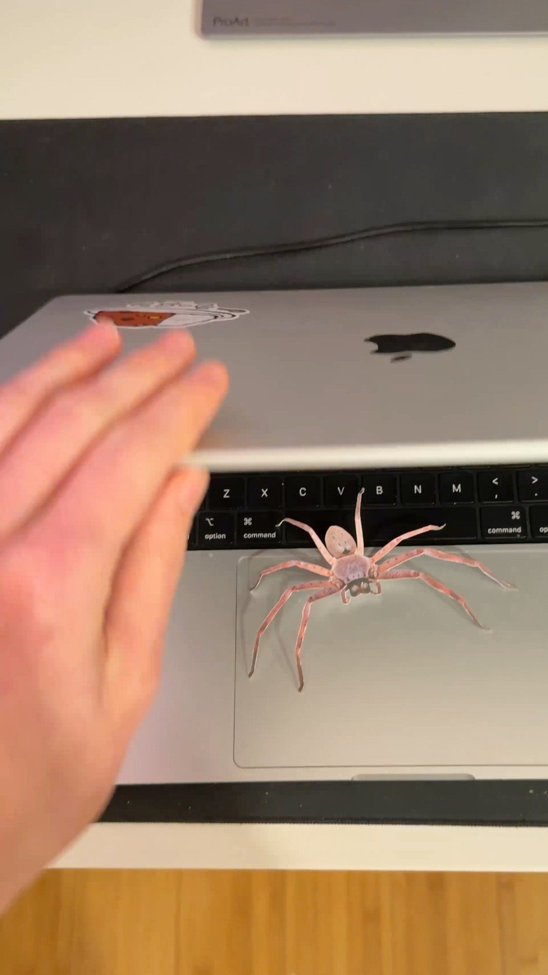 One fake spider changes everything