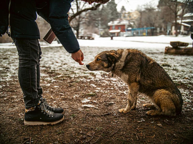 9 traits that make others fall for you without you noticing