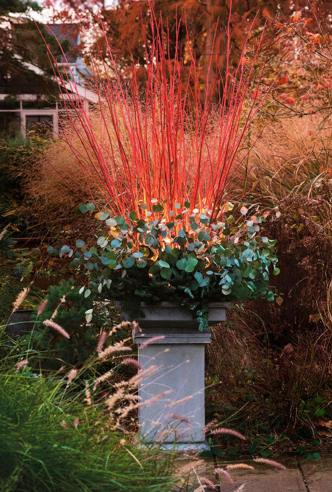 6 cold-season container ideas that celebrate fall and winter’s natural ...