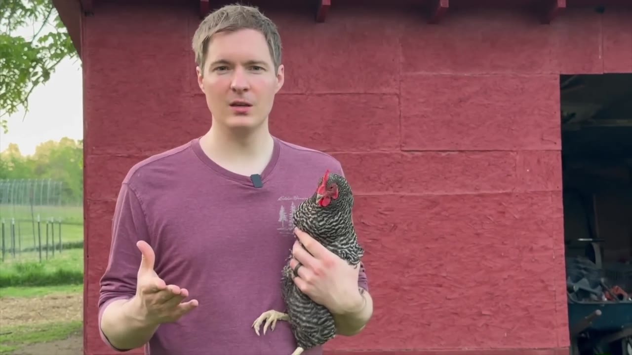 He held a chicken to disprove dinosaur evolution. Then he pointed out ...