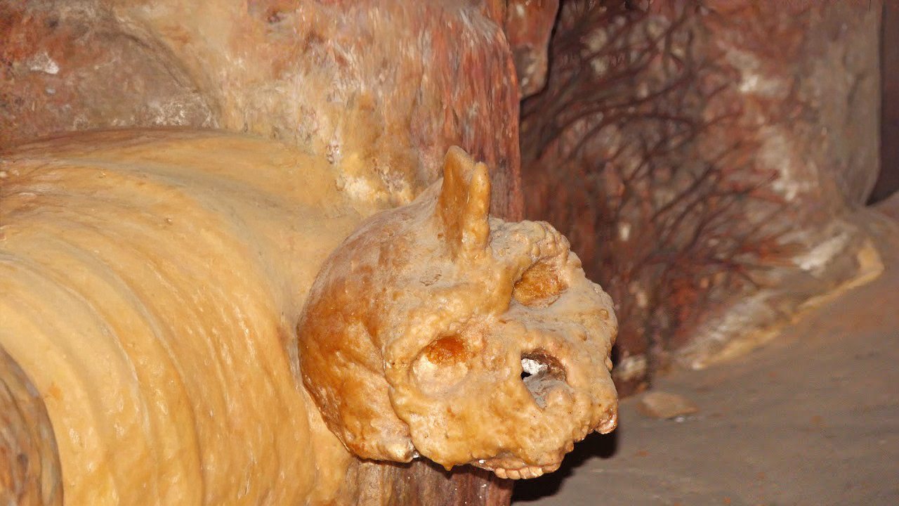 160,000 to 240,000 years old: What the Petralona skull shows