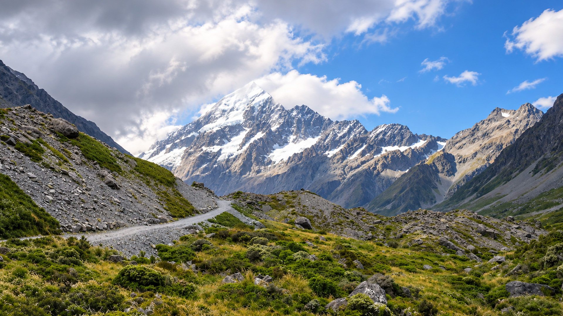 New Zealand’s alpine landscape from the valley floor