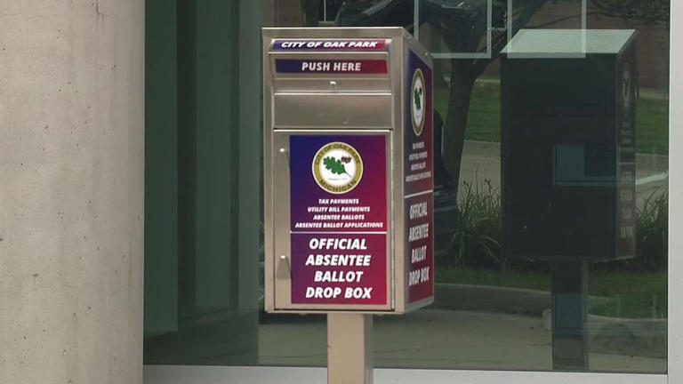 Michigan early voting numbers a month out from midterm election