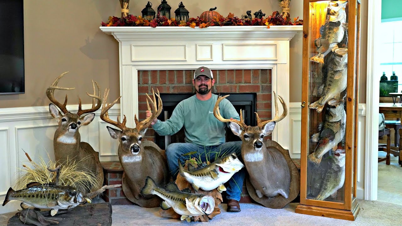 Man cave secrets: my mounts revealed
