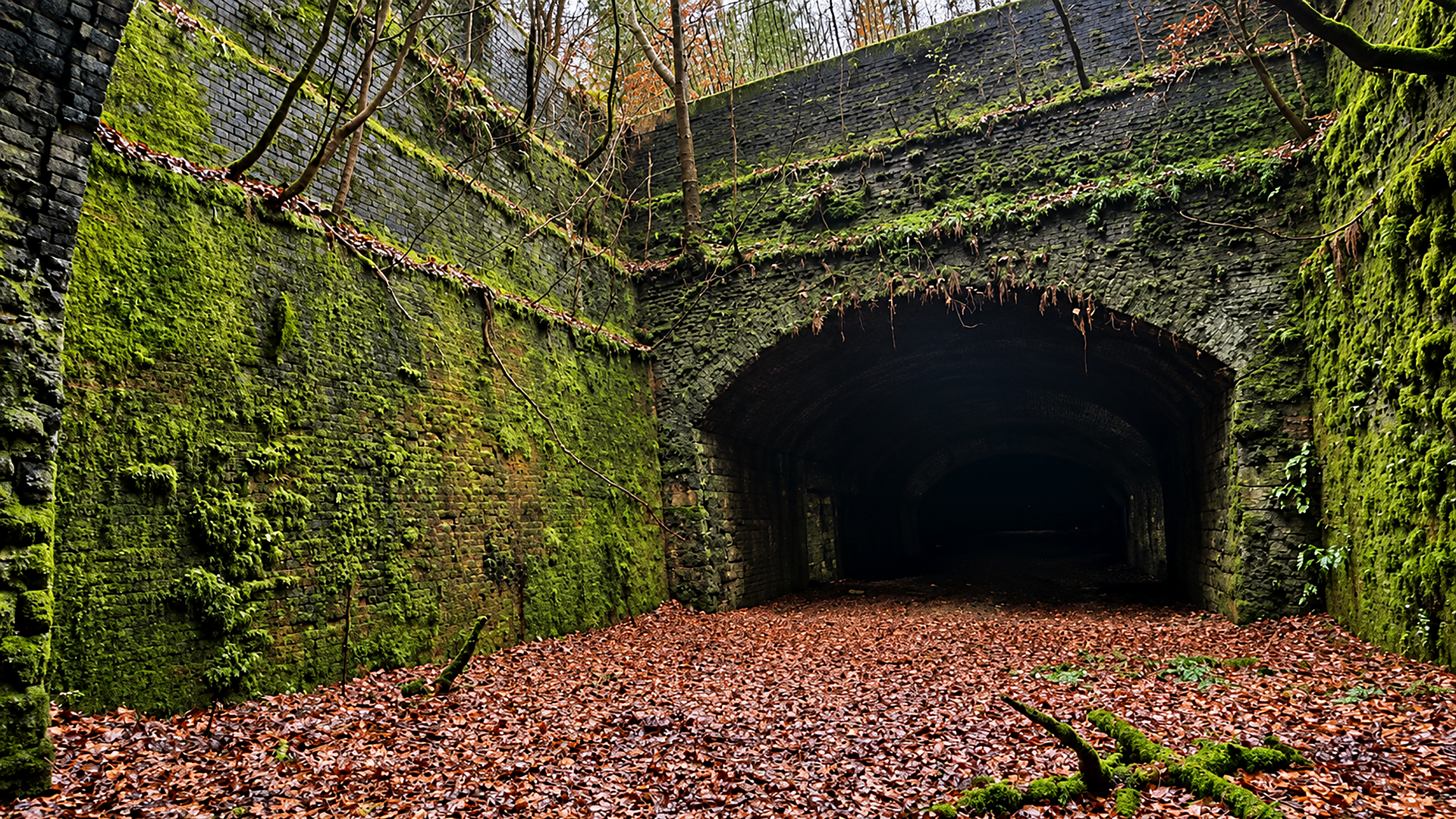 Haddon Tunnel: The navvies who died building a railway hidden beneath a ...