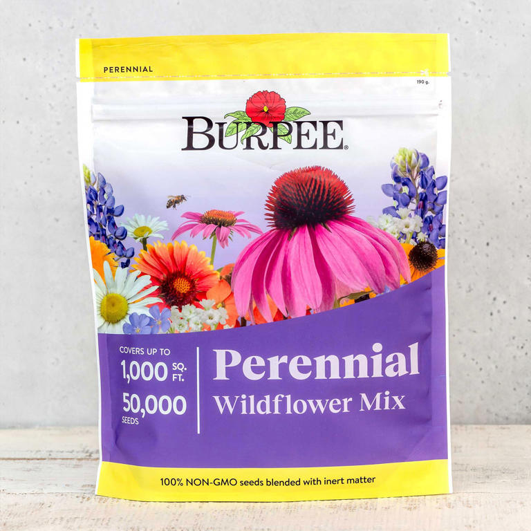 The Flower Gardeners Never Deadhead In October – Leave it for Wildlife ...