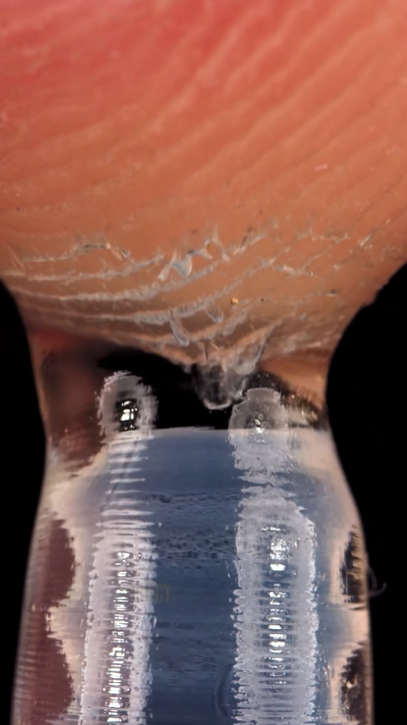 What a fingerprint really looks like up close