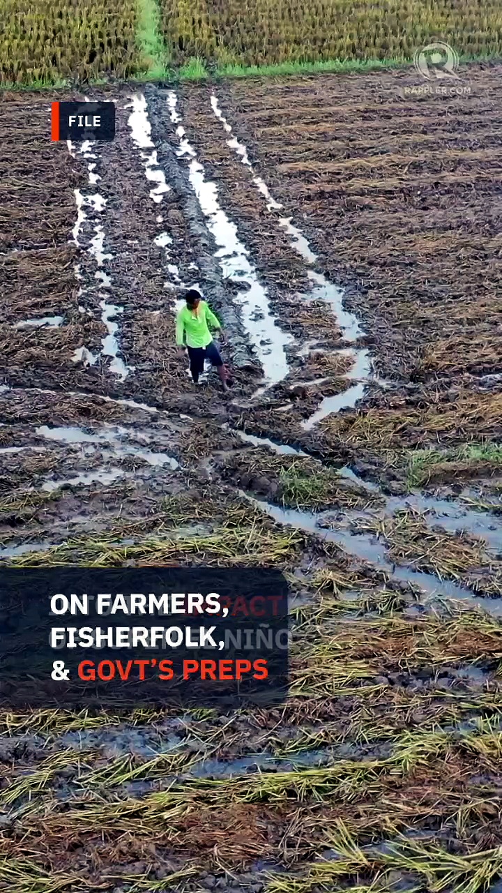 Food supply sufficient for Super El Niño, P45-B aid coming for farmers – DA