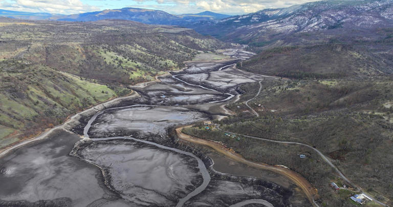 Klamath River salmon reclaiming lost territory
