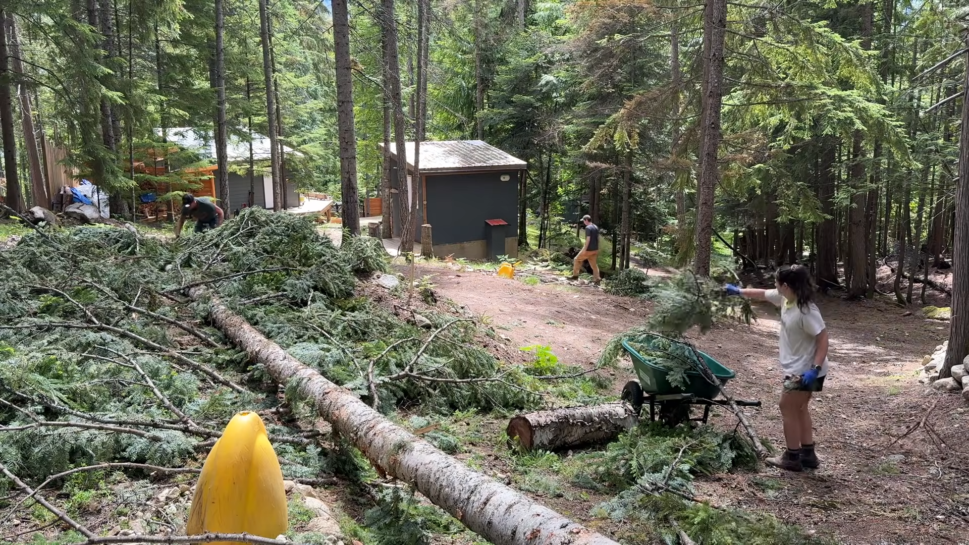 They had 15 acres full of fallen trees and brush… then found a way to ...