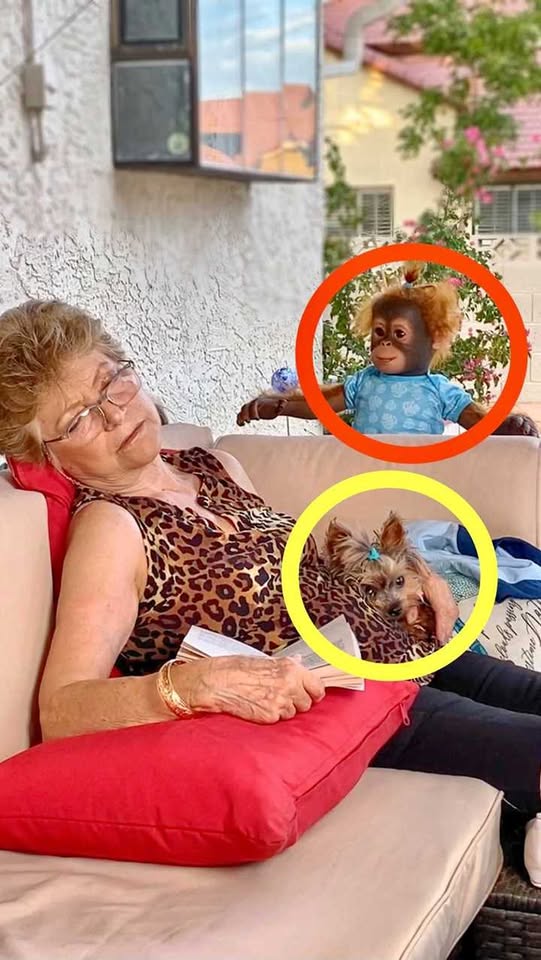 Mom’s sleeping puppy was secretly swapped for a baby monkey