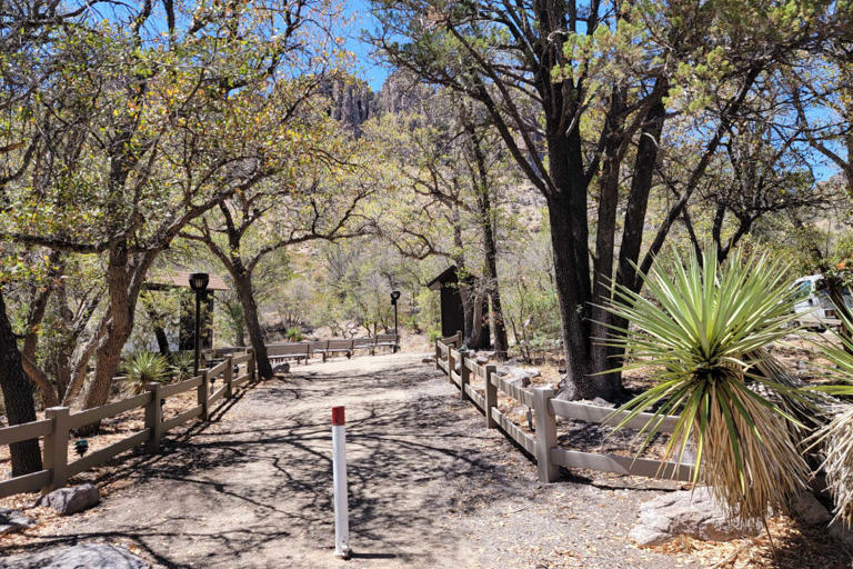 Bonita Canyon Campground: Camping at Chiricahua before it becomes a ...