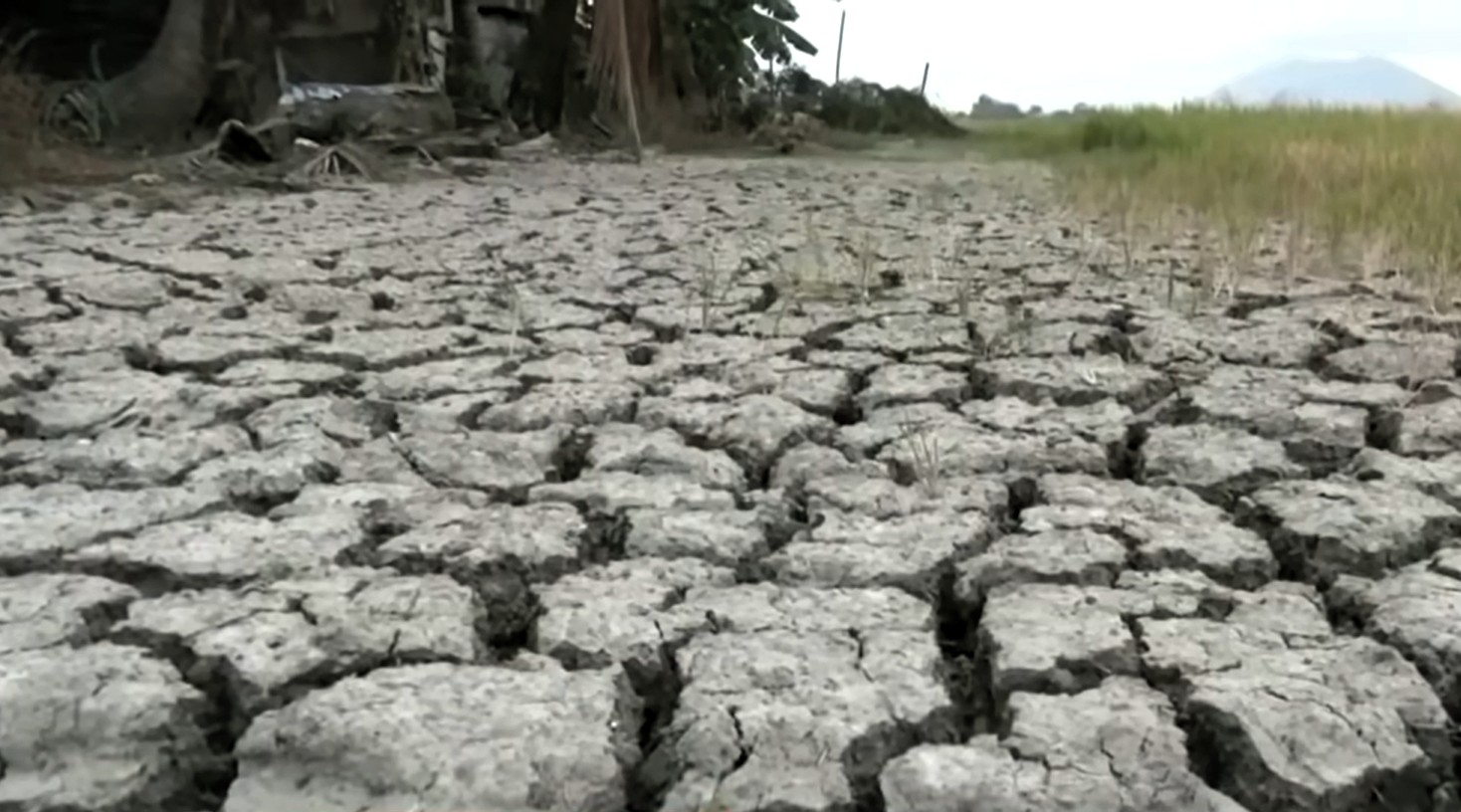 DA seeks P62-B El Niño mitigation plan