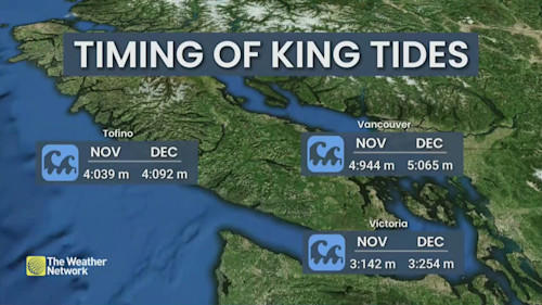 Approaching 'planetary-scale Kelvin wave' raises coastal flooding risks ...